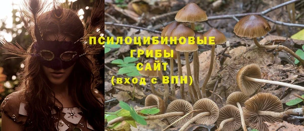 эйфоретик Белокуриха